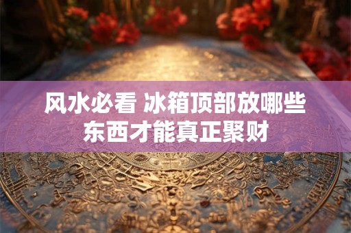 风水必看 冰箱顶部放哪些东西才能真正聚财