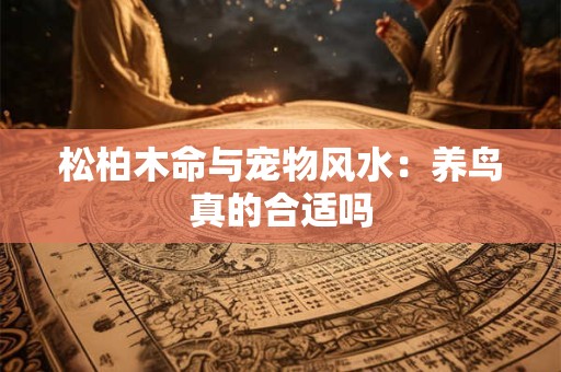 松柏木命与宠物风水：养鸟真的合适吗