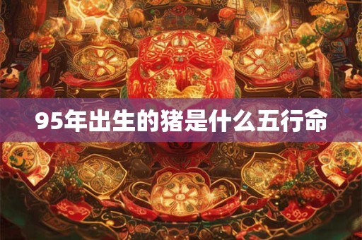 详细阅读:95年出生的猪是什么五行命 95年出生的猪是什么五行命