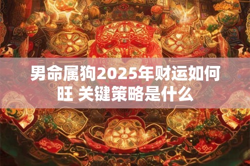 男命属狗2025年财运如何旺 关键策略是什么