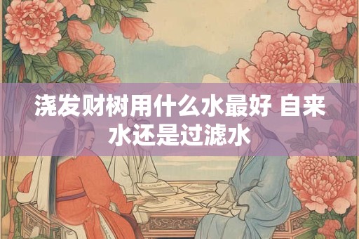 浇发财树用什么水最好 自来水还是过滤水