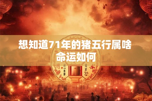 想知道71年的猪五行属啥 命运如何