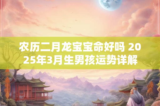 农历二月龙宝宝命好吗 2025年3月生男孩运势详解