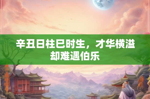 辛丑日柱巳时生，才华横溢却难遇伯乐