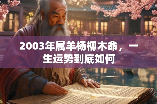 2003年属羊杨柳木命，一生运势到底如何