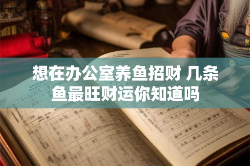 想在办公室养鱼招财 几条鱼最旺财运你知道吗