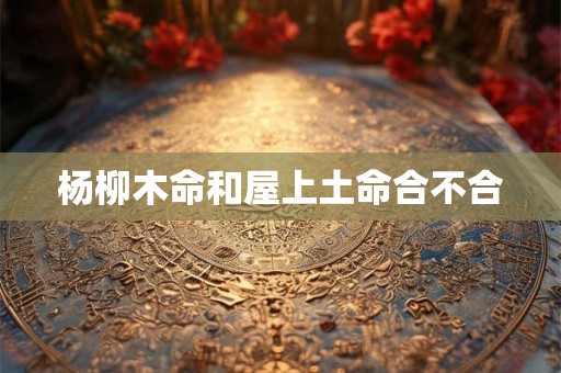 杨柳木命和屋上土命合不合
