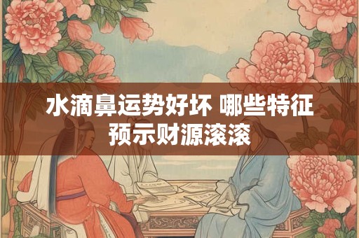 水滴鼻运势好坏 哪些特征预示财源滚滚