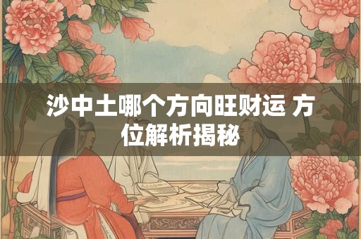 沙中土哪个方向旺财运 方位解析揭秘