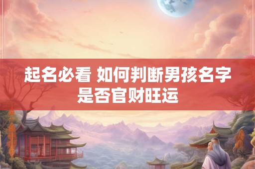 起名必看 如何判断男孩名字是否官财旺运
