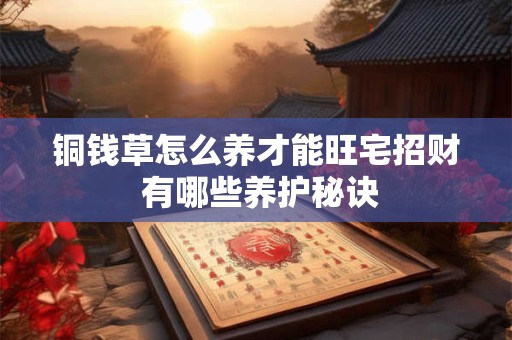 铜钱草怎么养才能旺宅招财 有哪些养护秘诀