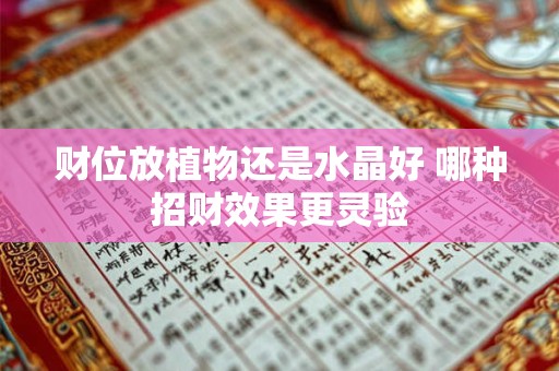 财位放植物还是水晶好 哪种招财效果更灵验