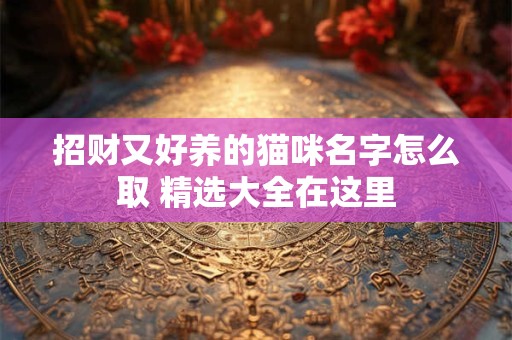 招财又好养的猫咪名字怎么取 精选大全在这里