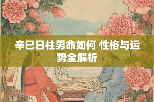 辛巳日柱男命如何 性格与运势全解析