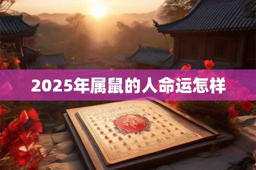 2025年属鼠的人命运怎样