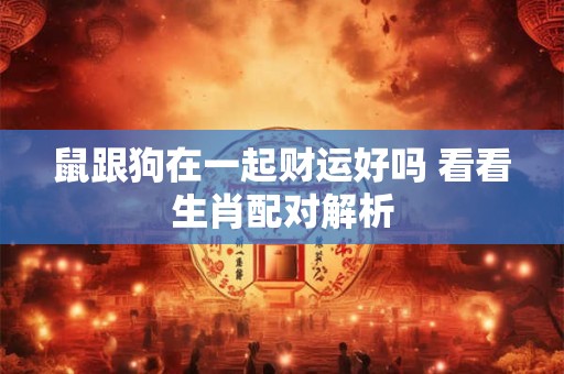 鼠跟狗在一起财运好吗 看看生肖配对解析
