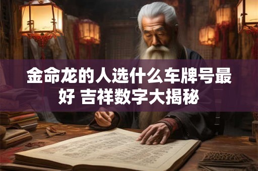 金命龙的人选什么车牌号最好 吉祥数字大揭秘