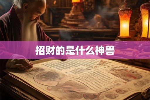 招财的是什么神兽