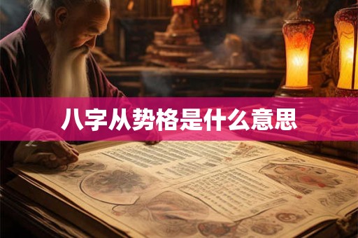 八字从势格是什么意思