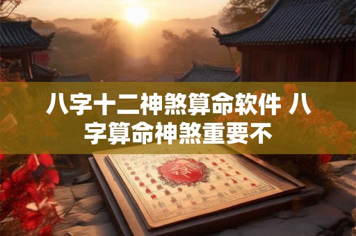 八字十二神煞算命软件 八字算命神煞重要不