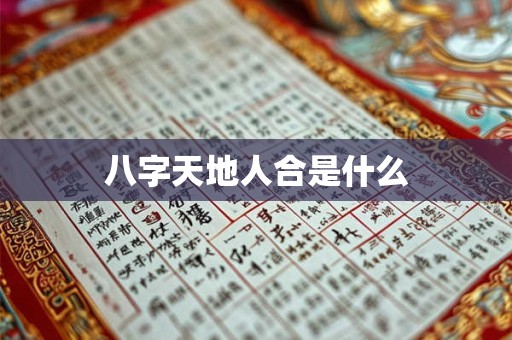 八字天地人合是什么