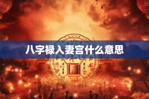 八字禄入妻宫代表什么