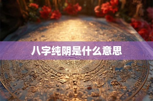 八字纯阴是什么意思