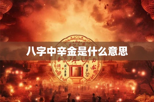 八字中辛金是什么意思