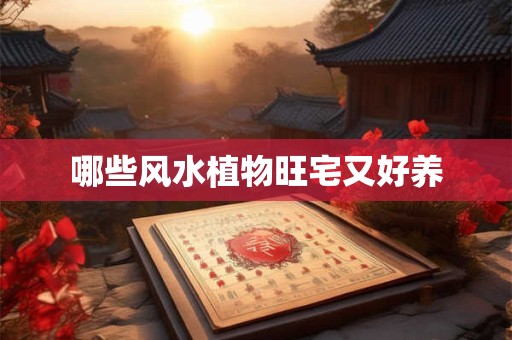 哪些风水植物旺宅又好养