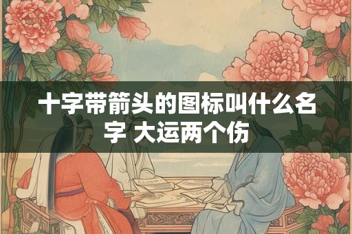 十字带箭头的图标叫什么名字 大运两个伤