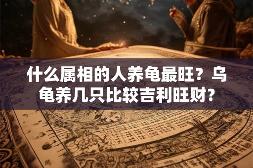 什么属相的人养龟最旺？乌龟养几只比较吉利旺财？