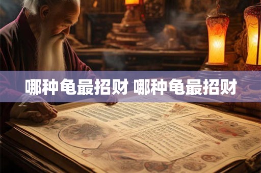 哪种龟最招财 哪种龟最招财