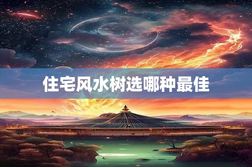 住宅风水树选哪种最佳