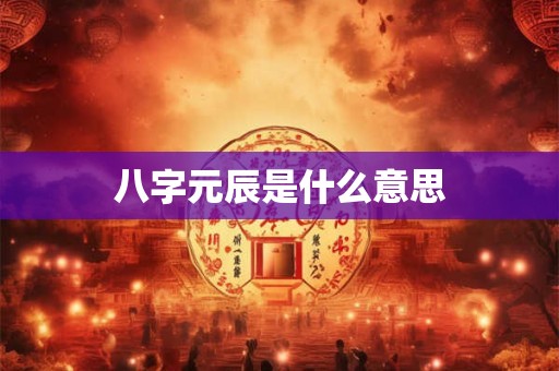 八字元辰是什么意思