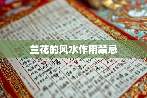 兰花的风水作用禁忌