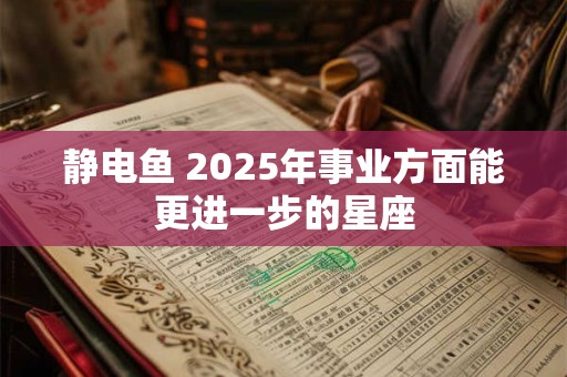 静电鱼 2025年事业方面能更进一步的星座