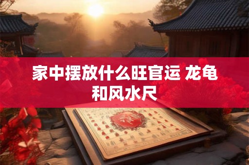 家中摆放什么旺官运 龙龟和风水尺