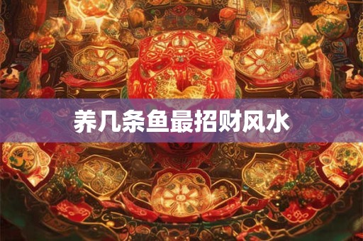 养几条鱼最招财风水