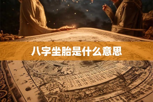 八字坐胎是什么意思
