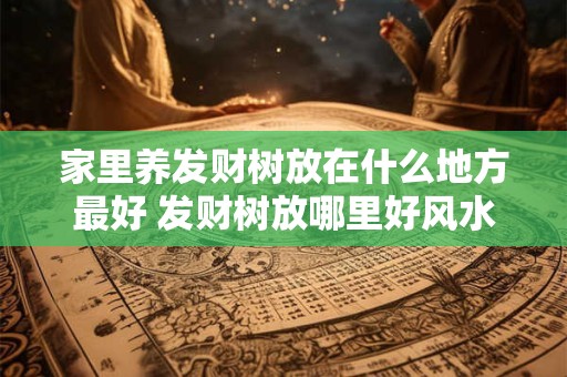 家里养发财树放在什么地方最好 发财树放哪里好风水