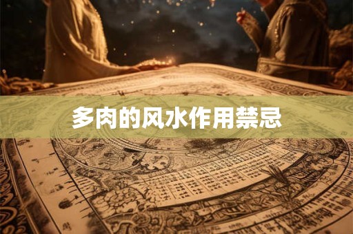 多肉的风水作用禁忌
