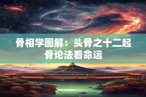 骨相学图解：头骨之十二起骨论法看命运
