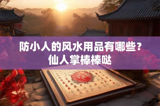 防小人的风水用品有哪些？仙人掌棒棒哒