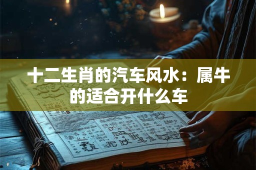 十二生肖的汽车风水：属牛的适合开什么车