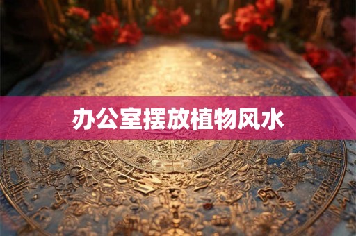 办公室摆放植物风水