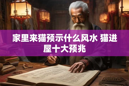 家里来猫预示什么风水 猫进屋十大预兆