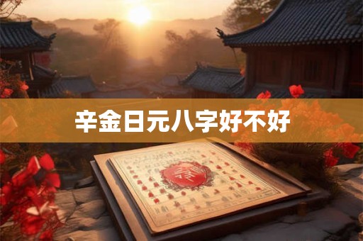 辛金日元八字好不好