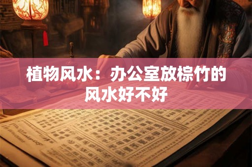植物风水：办公室放棕竹的风水好不好