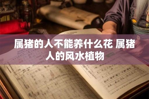 属猪的人不能养什么花 属猪人的风水植物