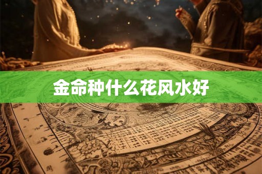 金命种什么花风水好